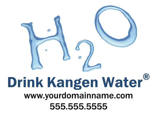 H2O Car Magnet (12x9")