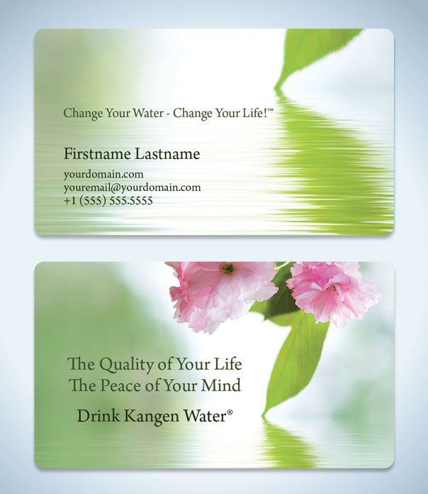 Evolve Business Card