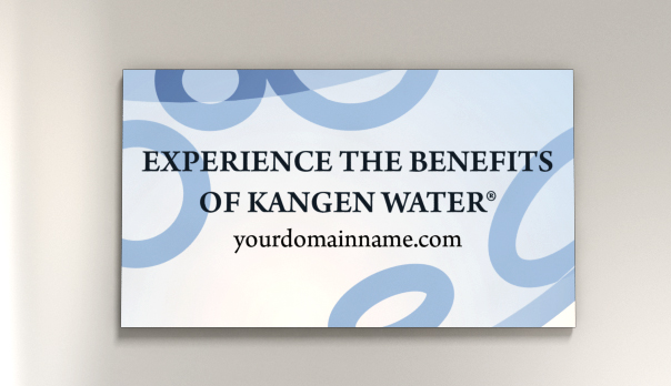 Alkalizing Magnet