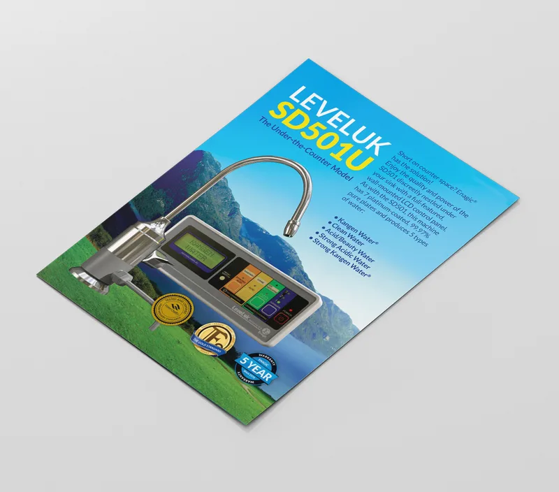 Leveluk SD501U Poster